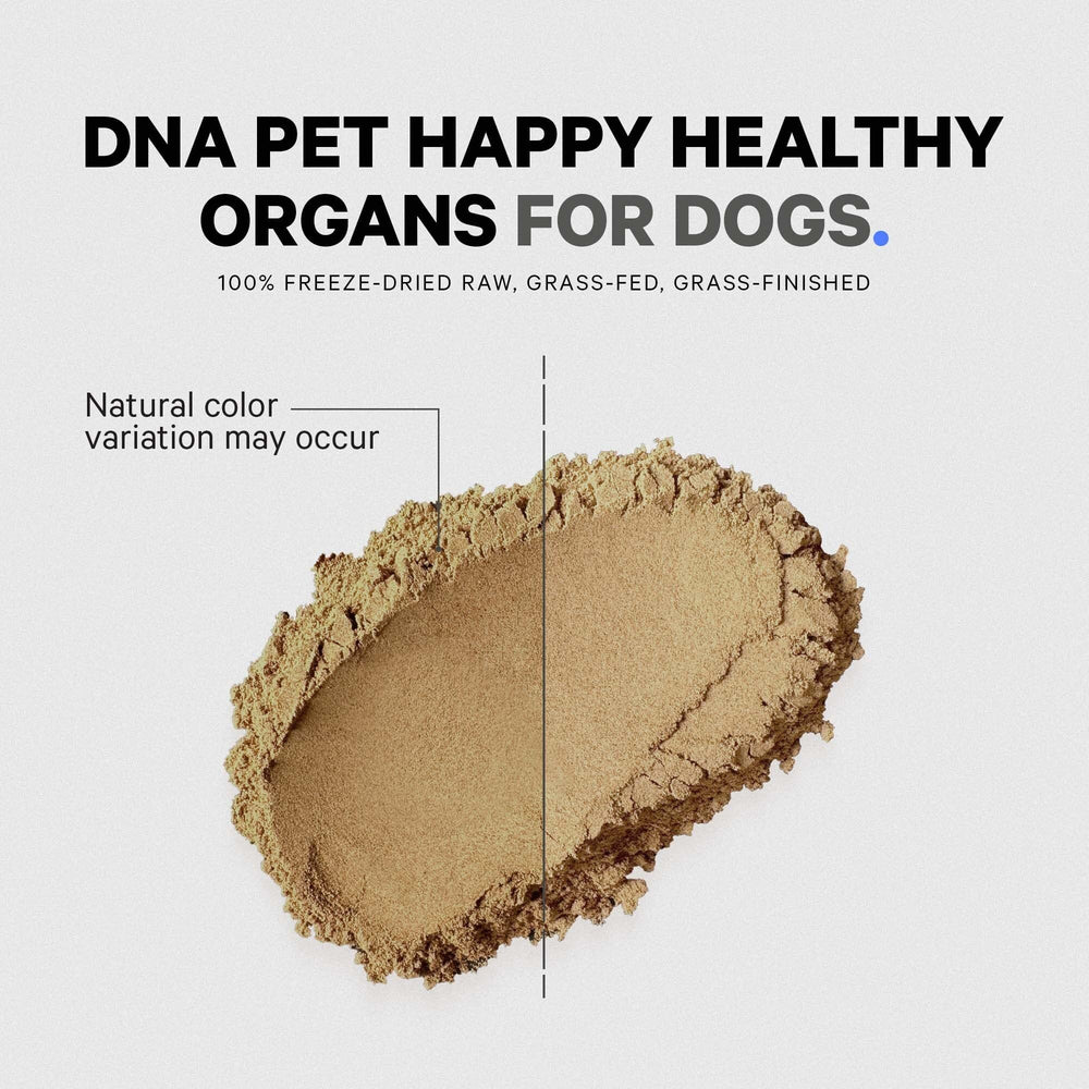 DNA PET dog-meal-mixing bowl scene demonstrates simple integration into daily meals.