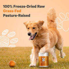 DNA PET grass-fed heart cubes showcase rich amino acids for overall wellness.