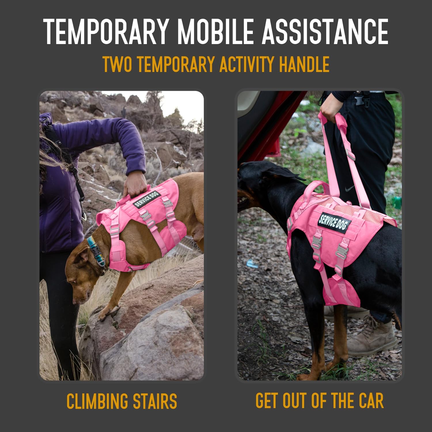 Dnallrino service dog vest sizing guide chest and neck fit