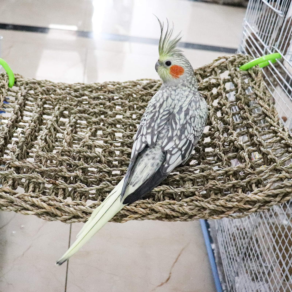 Dnoifne bird seagrass mat-climbing-rope-ladder offers enrichment through climbing and balance in cages