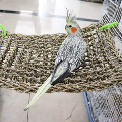 Dnoifne bird seagrass mat-climbing-rope-ladder offers enrichment through climbing and balance in cages