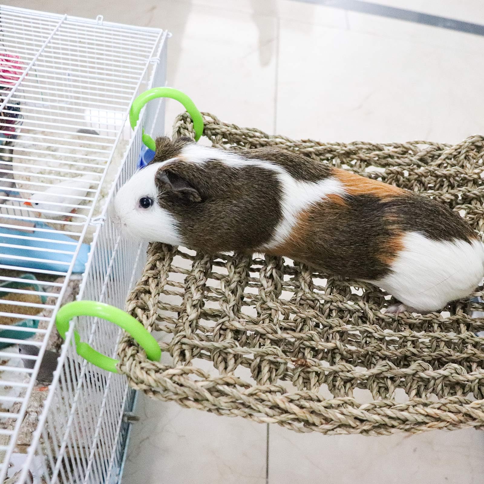 Dnoifne bird seagrass mat hammock-hooks demonstrates easy horizontal mounting for a swinging play area