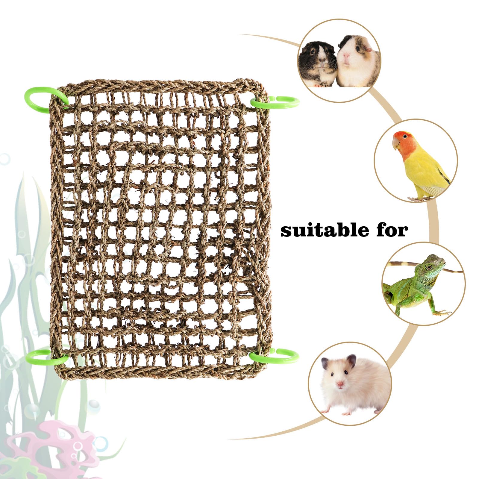 Dnoifne bird seagrass mat-safe-natural-material is chew-friendly for safe beak grinding