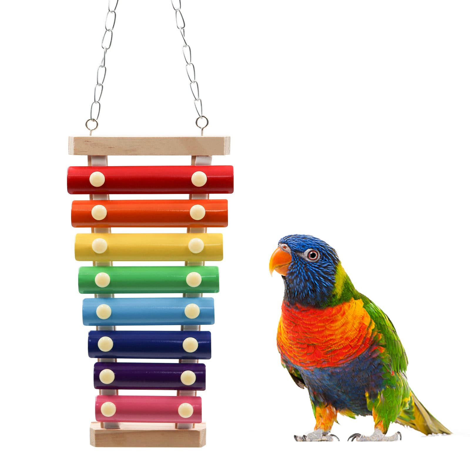 Dnoifne colorful bird xylophone toy hangs in cage for engaging musical sessions.