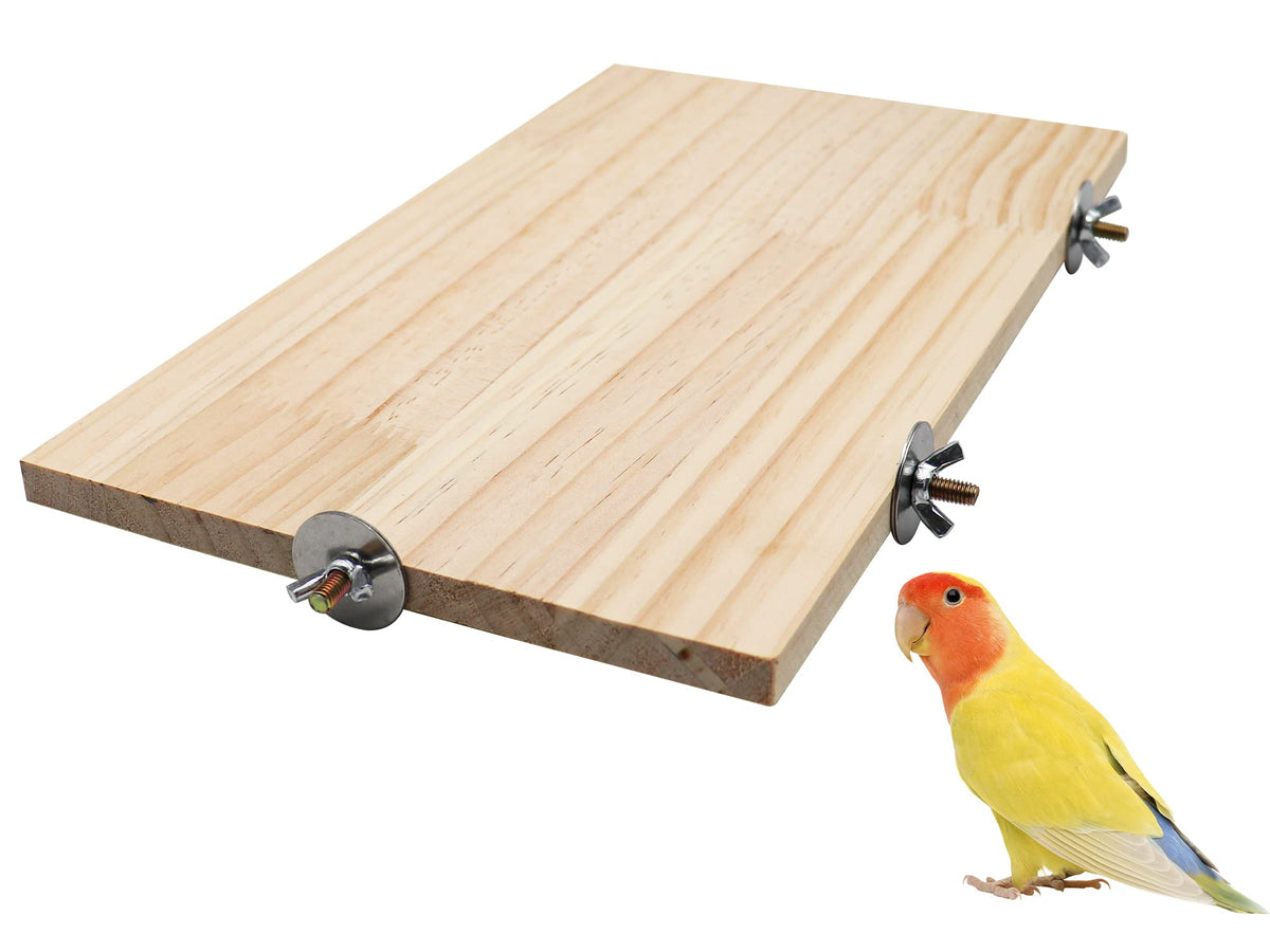 Dnoifne large natural wood bird perch stand ready for multiple birds.