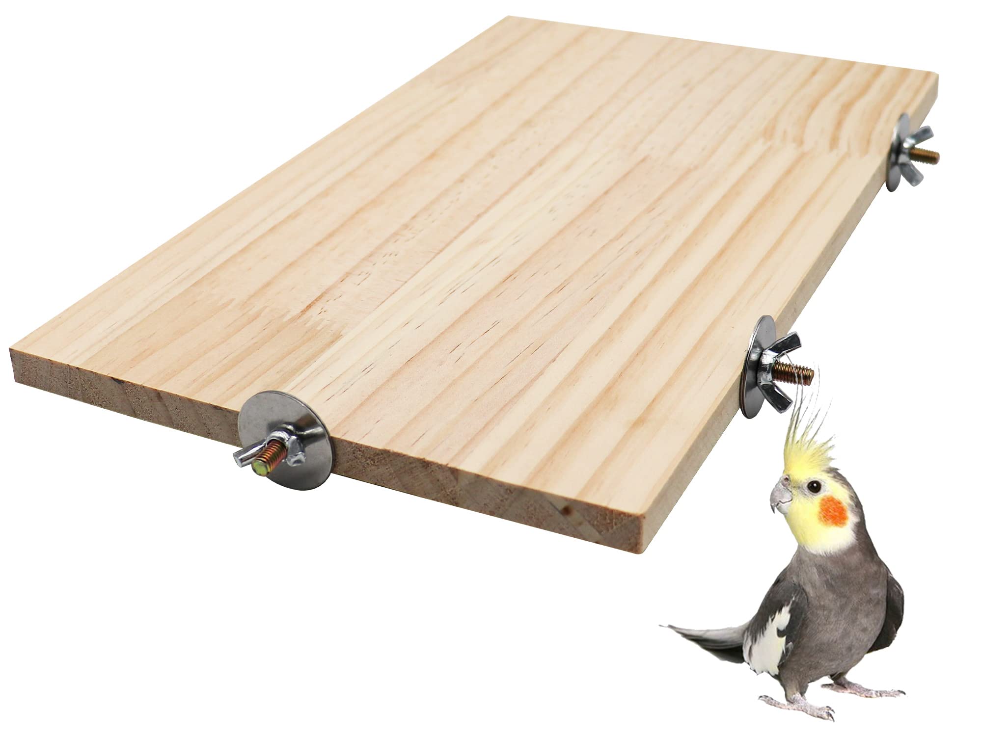 Dnoifne large bird perch stand image shows extra space for multiple birds