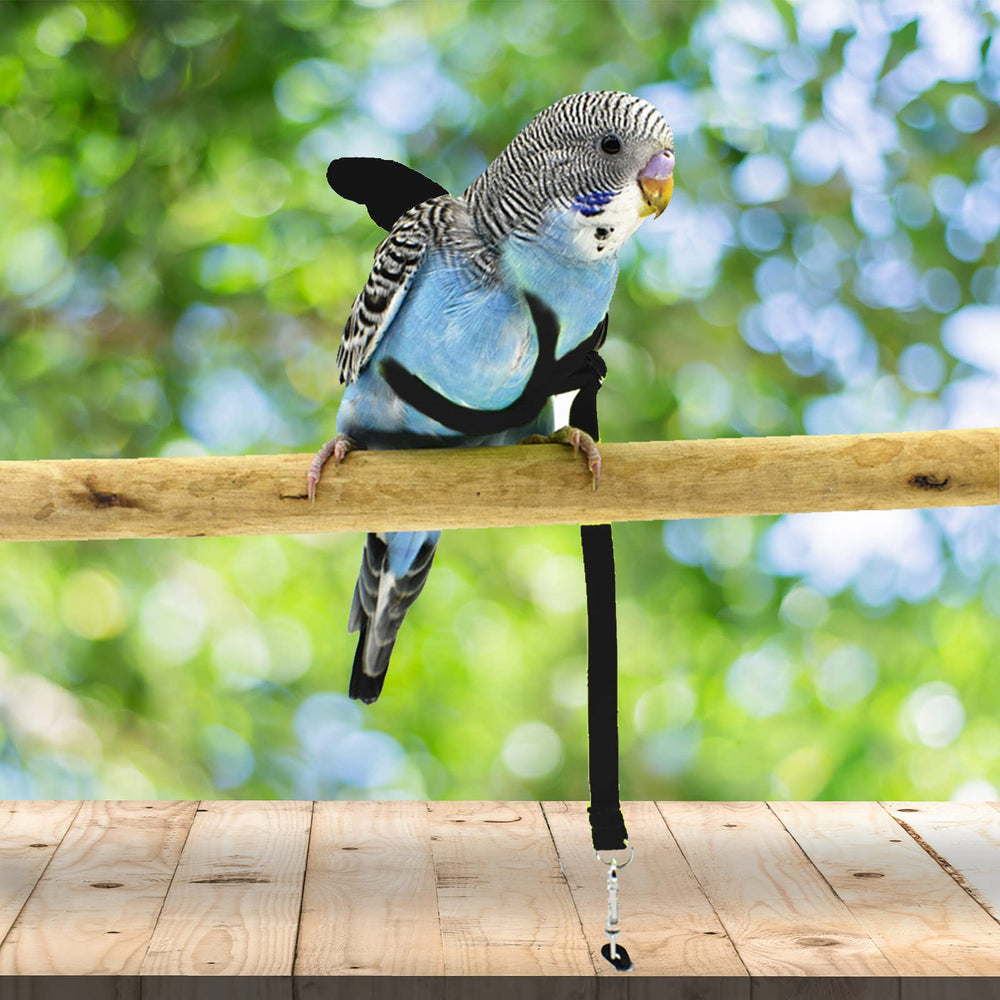 Dnoifne parrot harness adjustable strap ensuring a snug, comfortable fit.