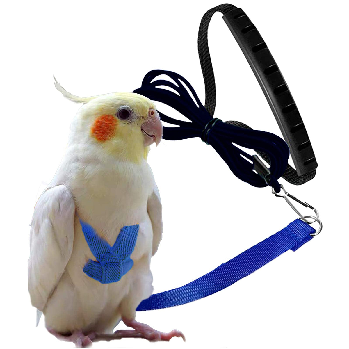 Dnoifne parrot harness blue closeup shows anti-bite nylon for safer outdoor wear.