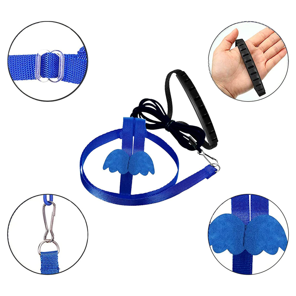 Dnoifne parrot harness blue worn on bird for secure handling.