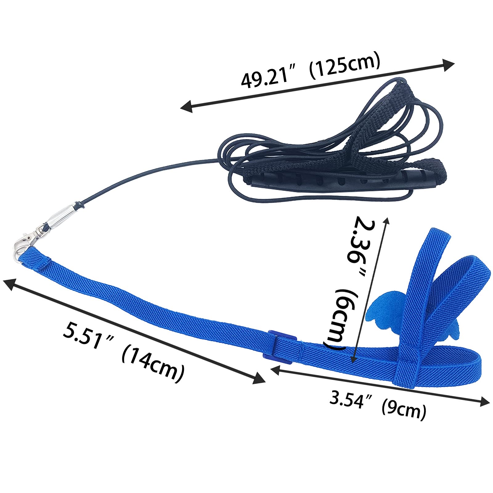 Dnoifne parrot leash 2m blue keeps training sessions safe.