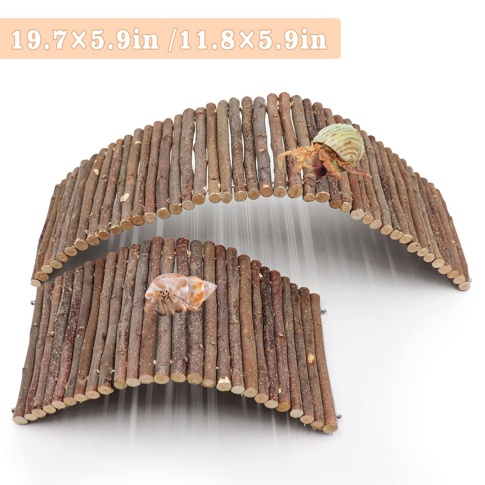 Dnoifne pet climbing toy arch and bridge enabling varied routes for activity.