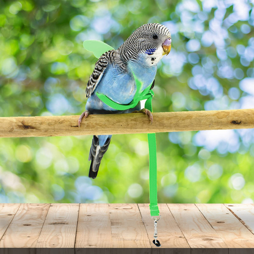 Dnoifne parrot harness adjustable strap shows easy size customization for different birds.