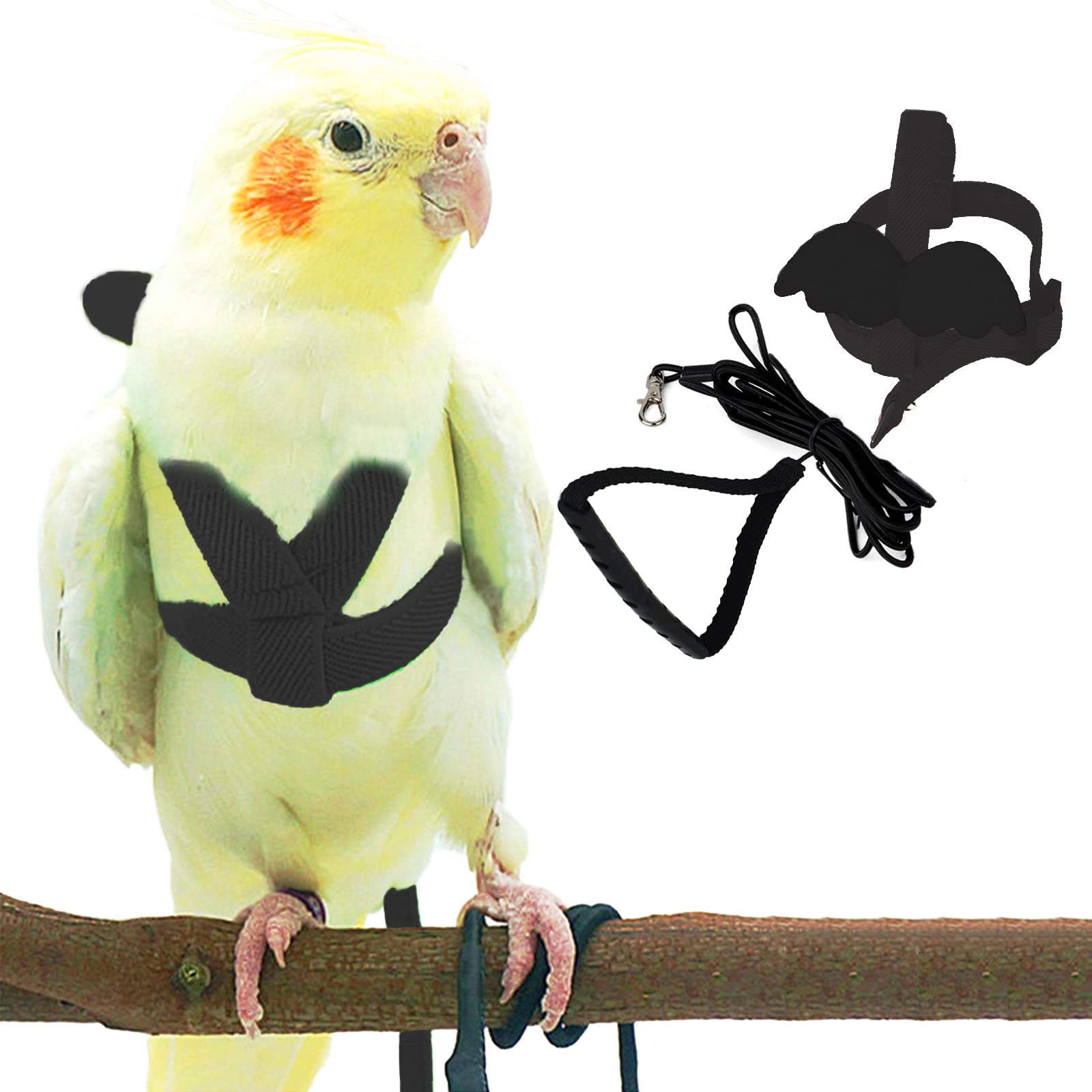 Dnoifne pet parrot harness black for secure outdoor wear during walks.