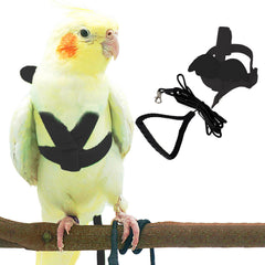 Dnoifne pet parrot harness black for secure outdoor wear during walks.