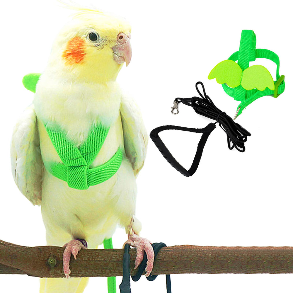 Dnoifne parrot harness closeup in chew-resistant nylon for gentle training.