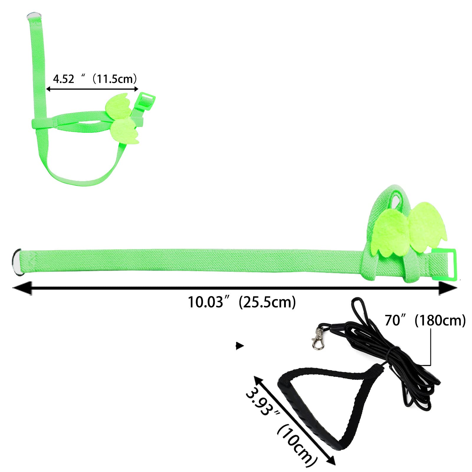 Dnoifne parrot harness green color option adds stylish outdoor wear.