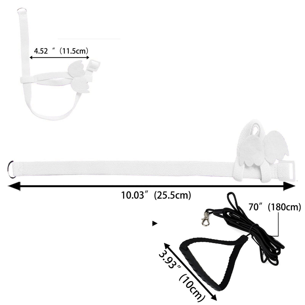Dnoifne Parrot Harness for outdoor walks enables safe exploration.