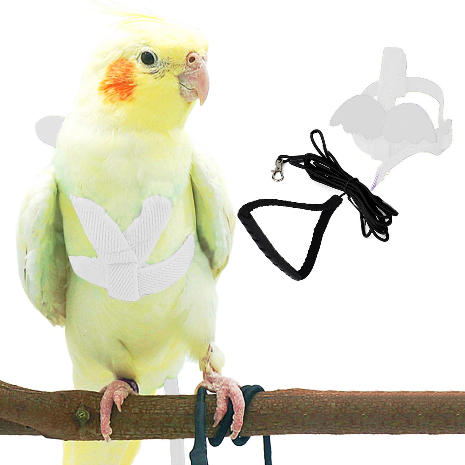 Dnoifne Pet Parrot Harness white front view shows adjustable outdoor fit.