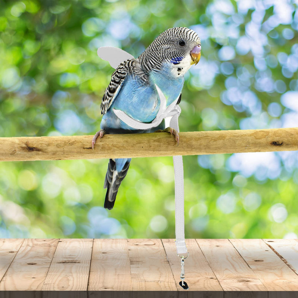 Dnoifne Parrot Harness white side view demonstrates comfortable body wrap.
