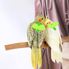 Dnoifne parrot leash 2m length enables secure outdoor walks.