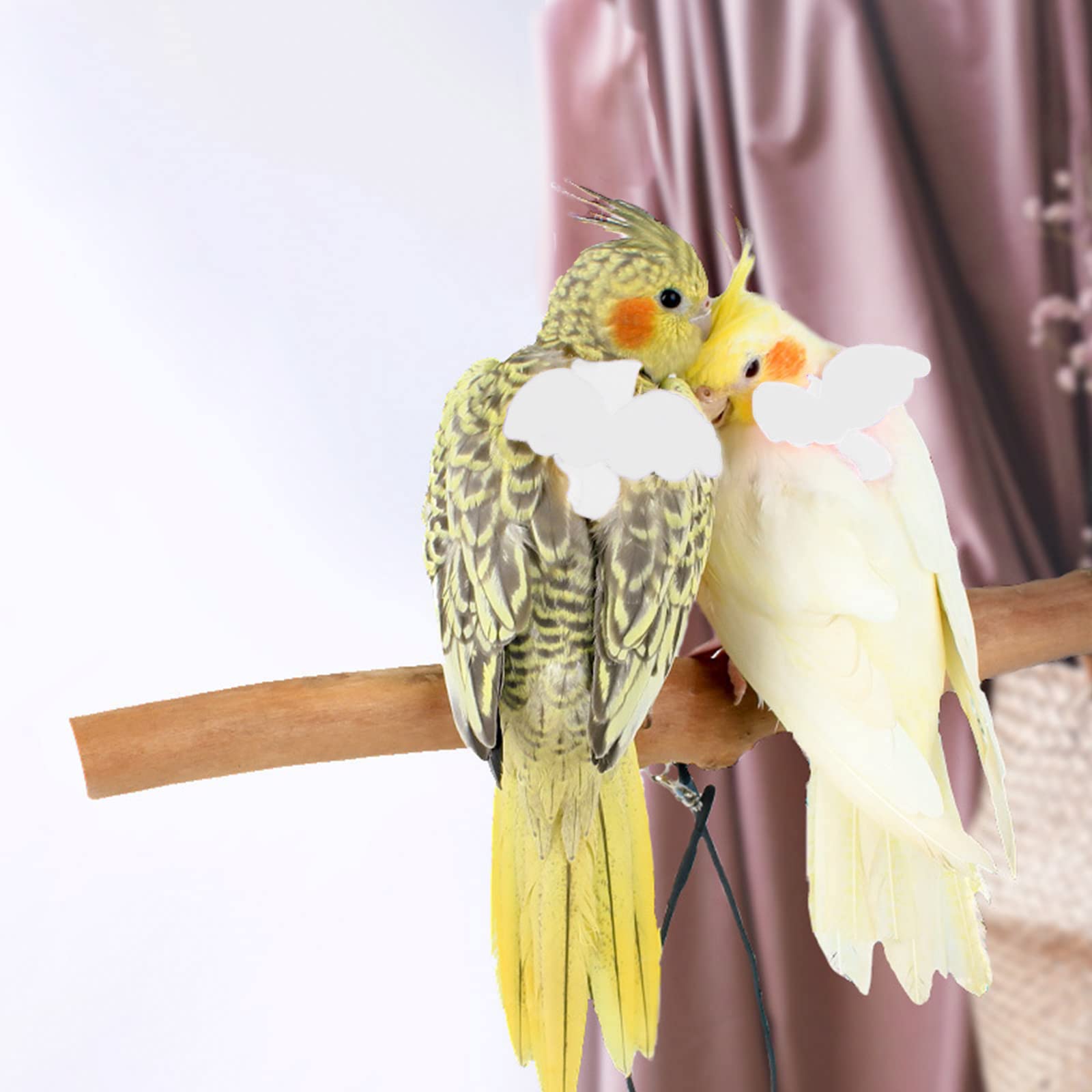 Dnoifne Pet Parrot Leash 2m white highlights extended training range.