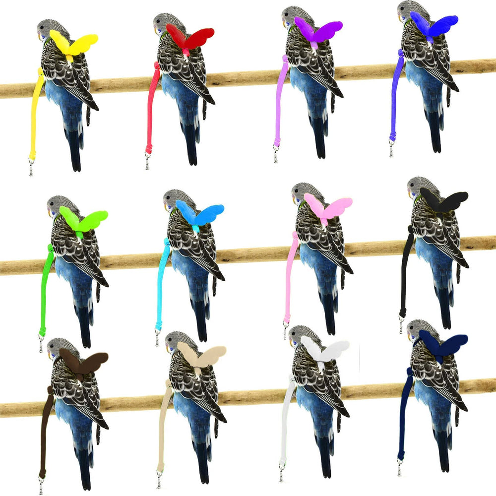 Dnoifne Pet Parrot wearing harness demonstrates comfortable daily wear.