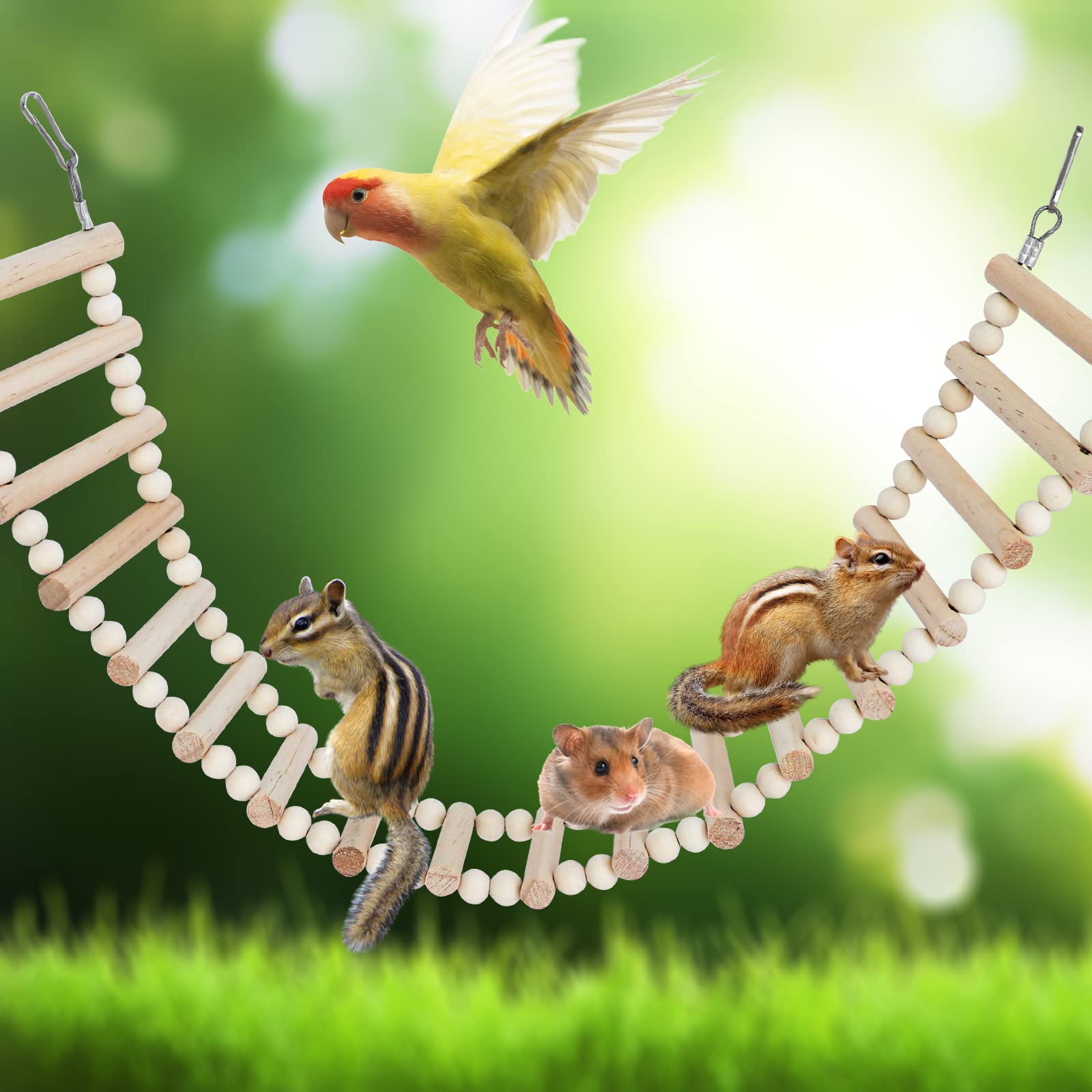 Dnoifne rat ladder close-up highlights natural wood and bite resistance for durable play.