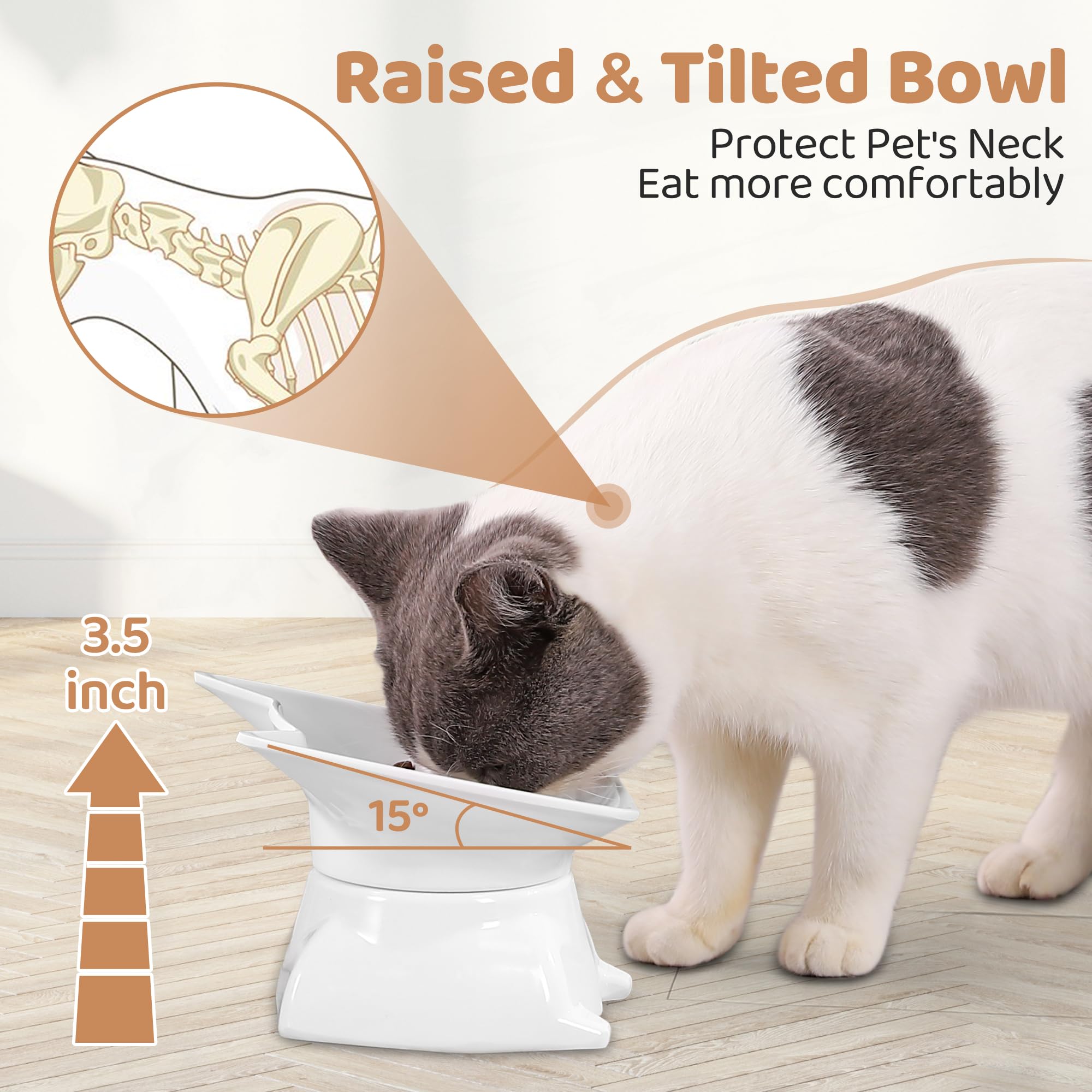 DNOYEUS detachable stand cat bowl allows adjustable height for kittens and adult cats