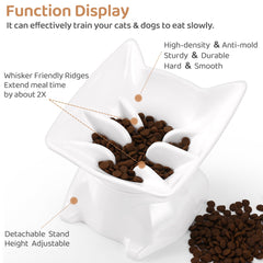 DNOYEUS dishwasher-safe cat bowl with smooth surface for easy cleaning after meals