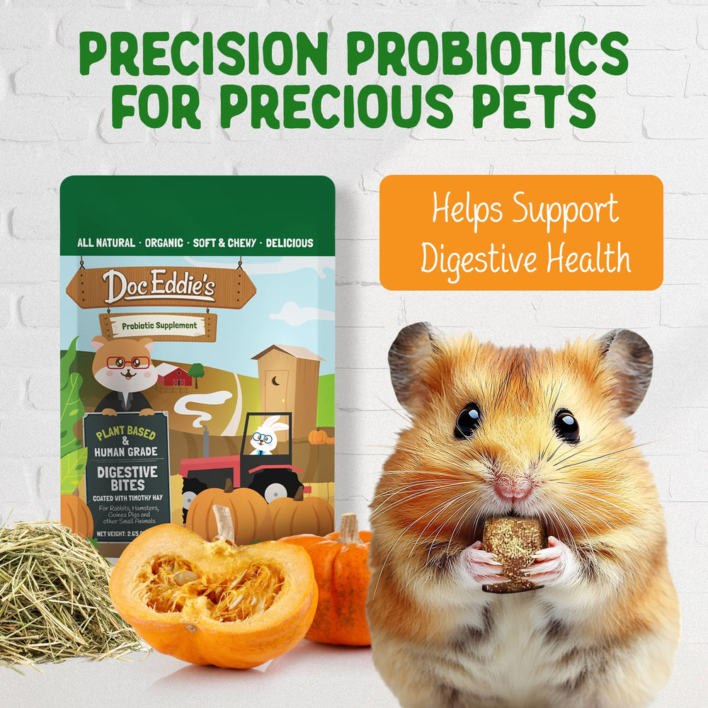 DOC EDDIE'S Digestive Bites close-up textured bite appealing to small pets.