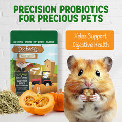 DOC EDDIE'S Digestive Bites close-up textured bite appealing to small pets.