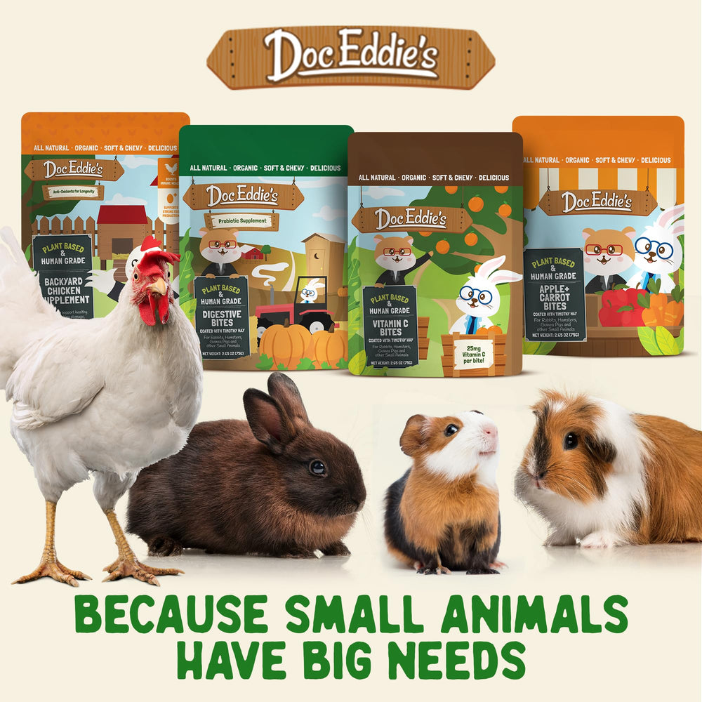 DOC EDDIE'S Digestive Bites real-fruit and veg flavors support daily snacking.