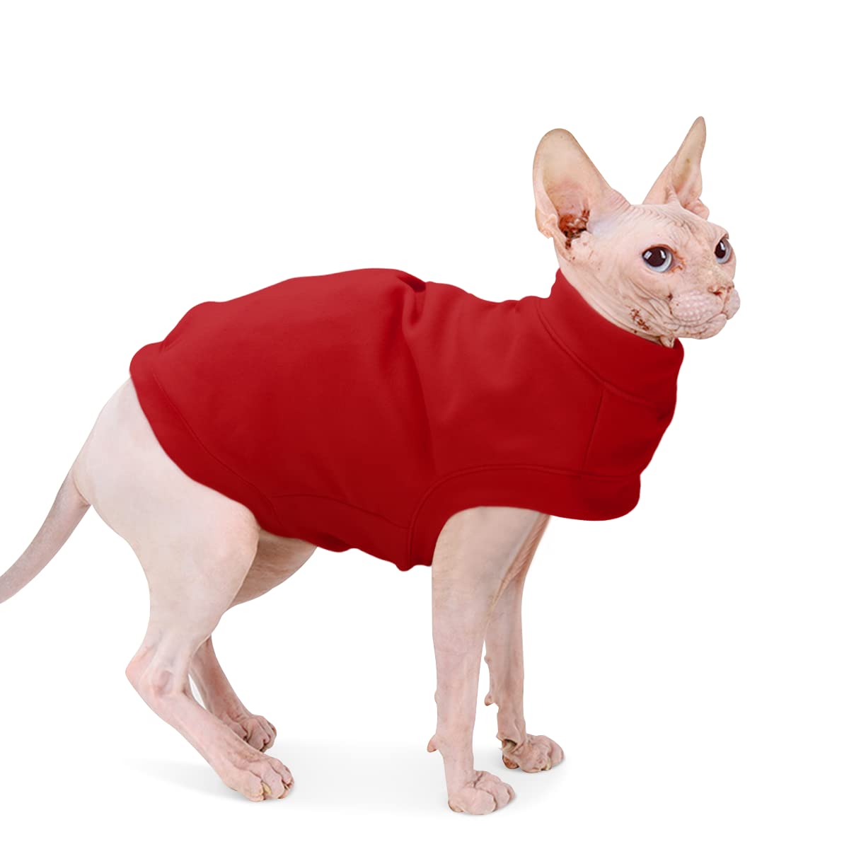 Dociote Soft Fleece Sweatshirt front view shows cozy warmth for cold days.
