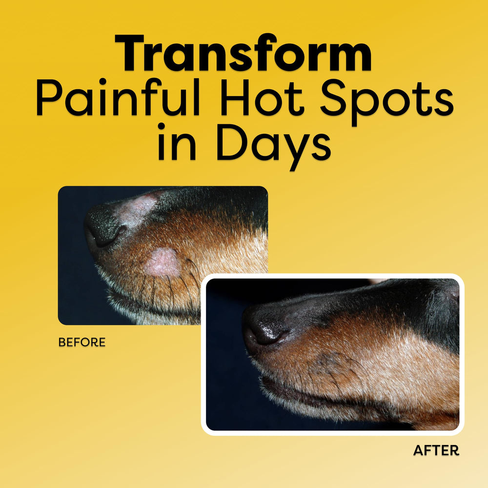 DocItchy Allergy Armor hot-spot cream tube ready for quick hotspot relief.
