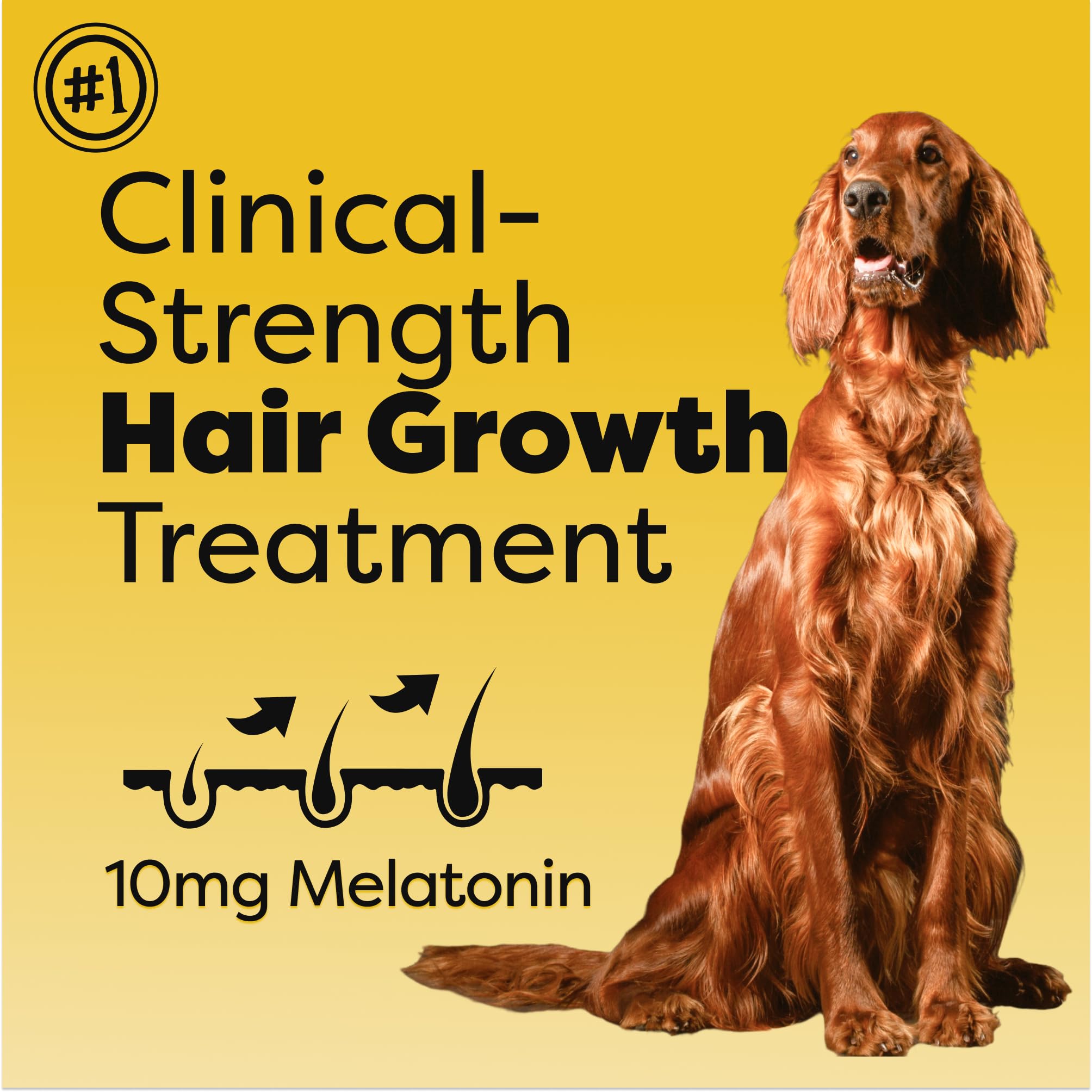 Doc Itchy label closeup highlighting 10mg melatonin for calming dogs
