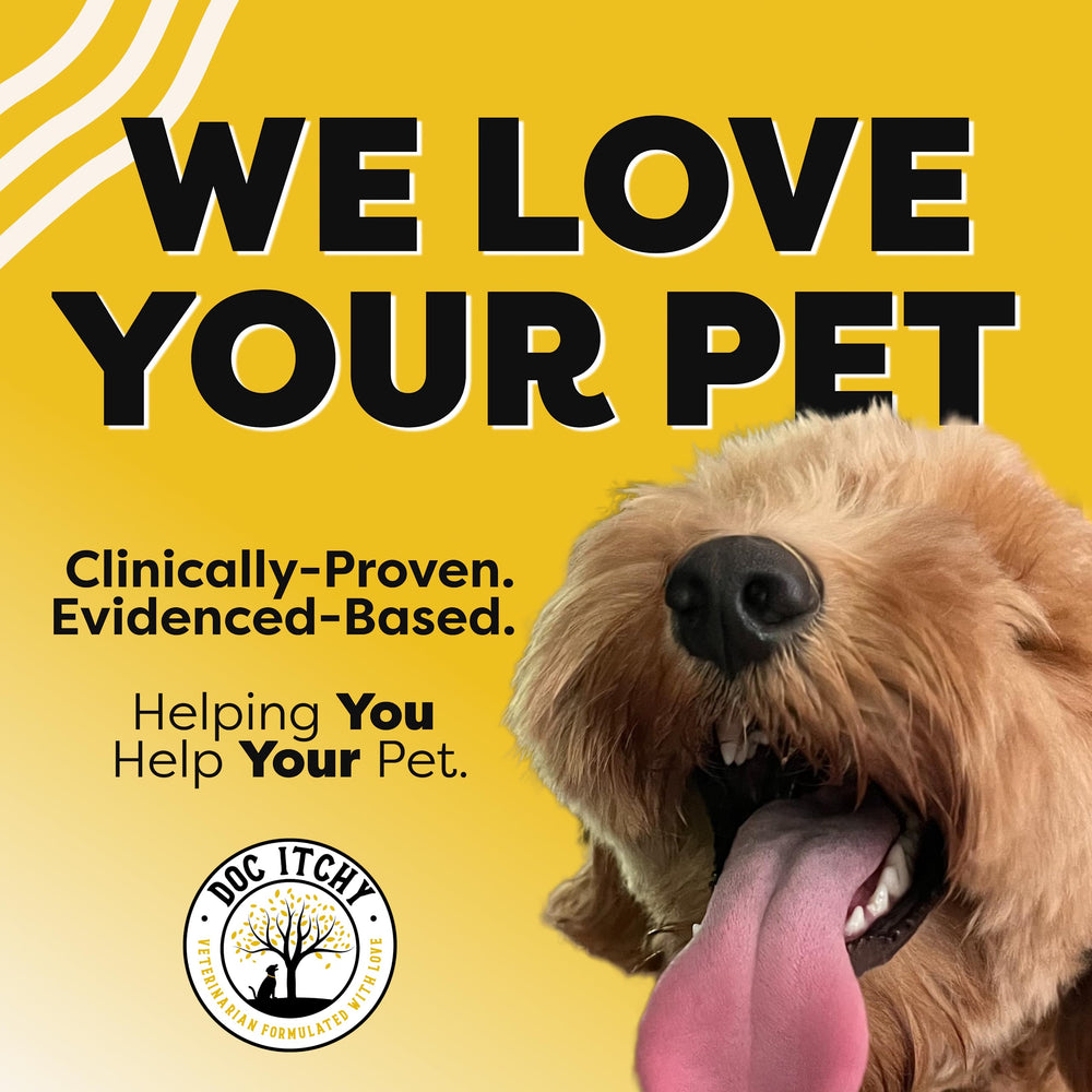 Doc Itchy gluten-free and food-allergy safe chews for sensitive dogs