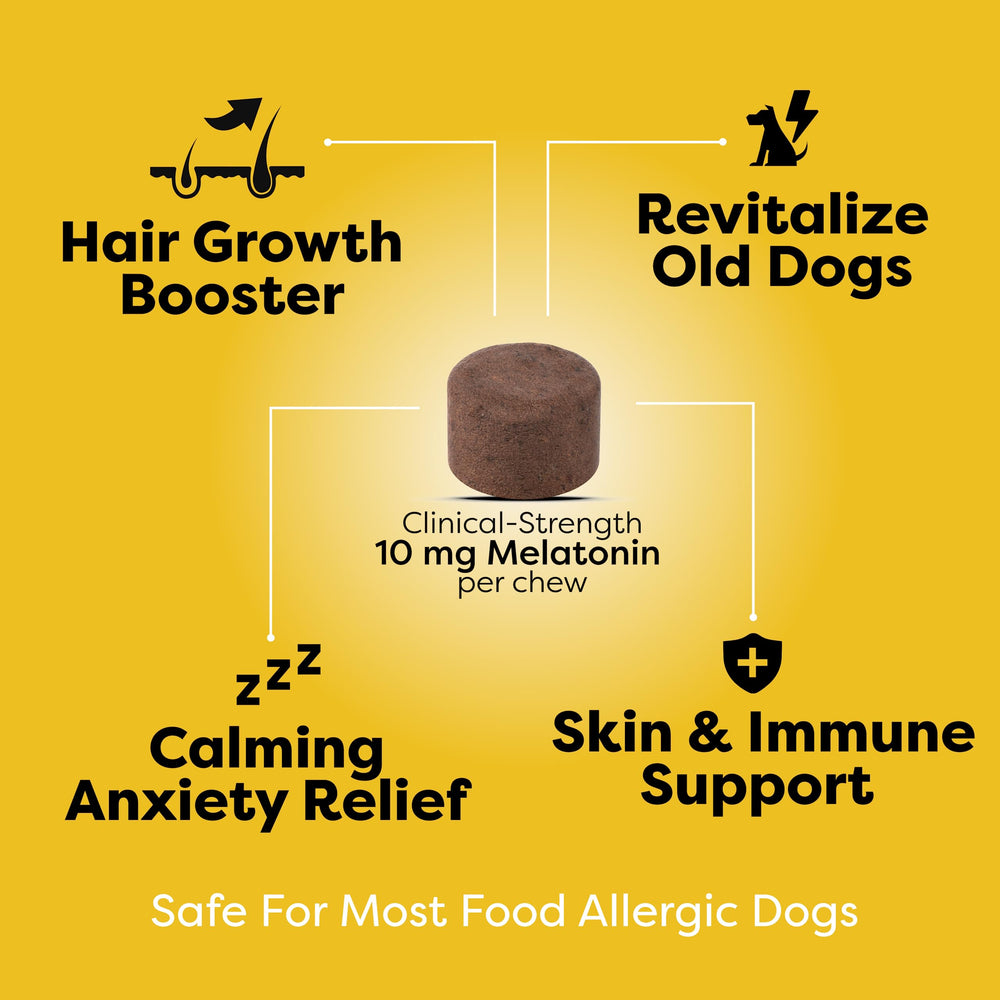 Doc Itchy hair-grow dog coat glow image suggests shinier fur