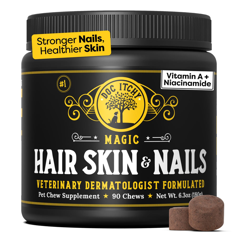 DocItchy medical-strength dog chews packaging highlights clinical-grade skin and nail support for dogs.