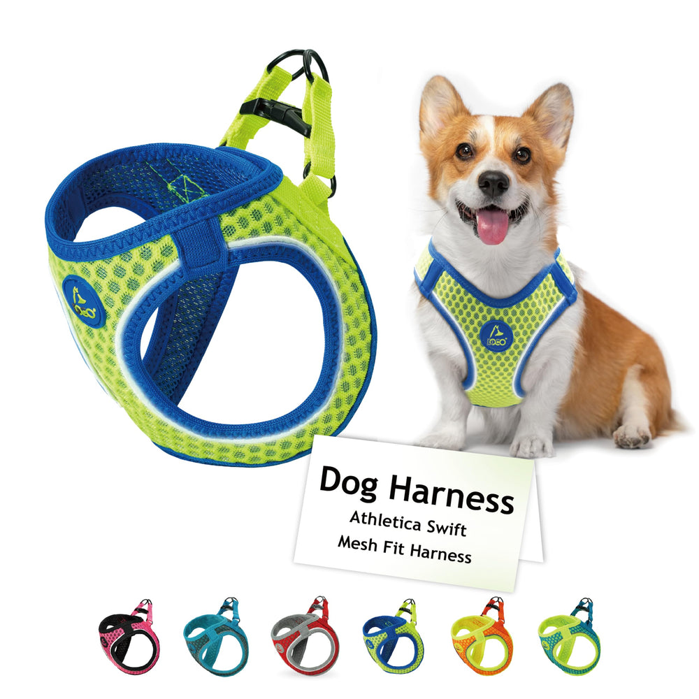 DOCO Athletica large lime harness front view with adjustable fit for comfort