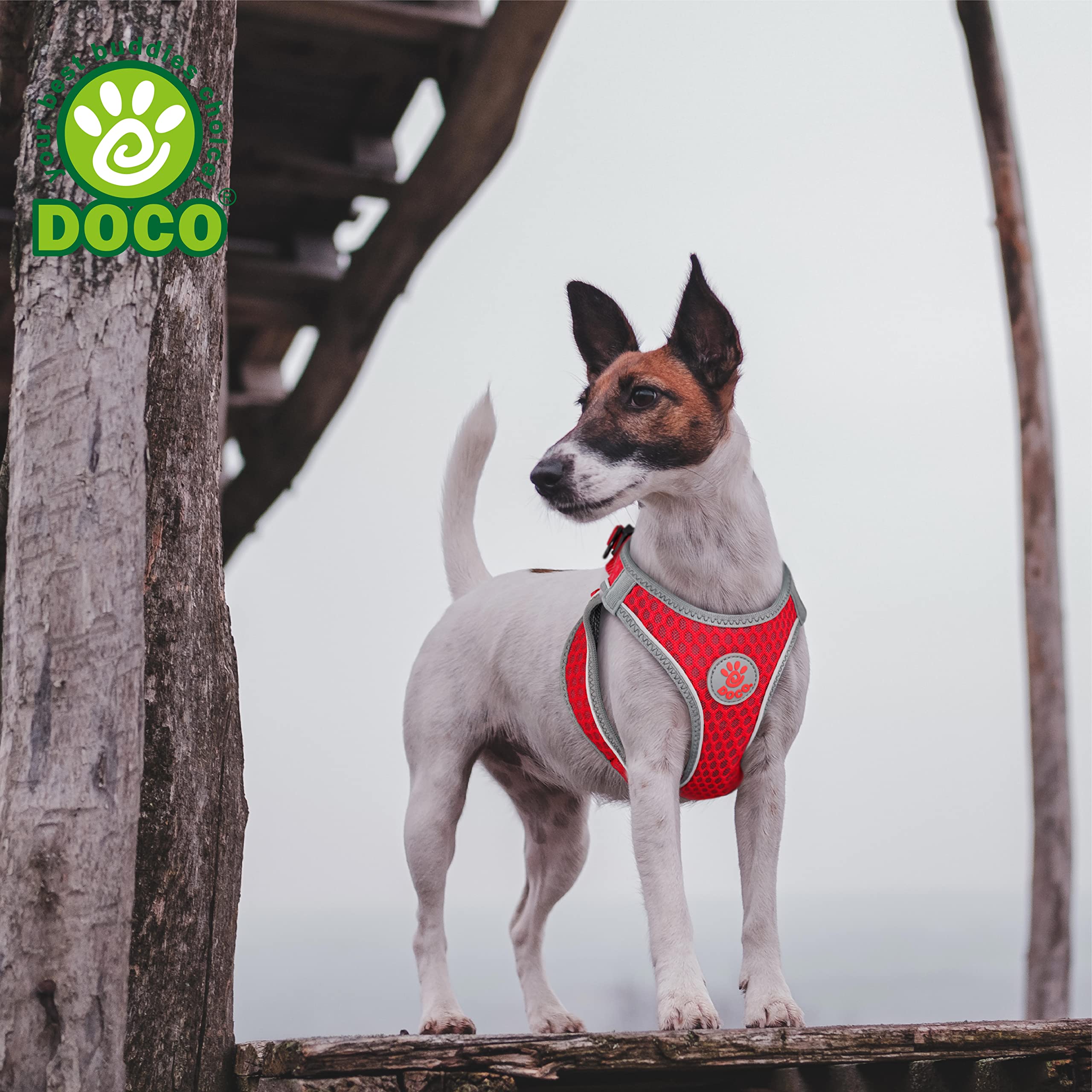 DOCO Athletica lightweight air mesh keeps your large dog cool during strolls.