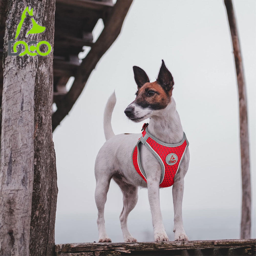DOCO dog harness reflective piping enhances night visibility.