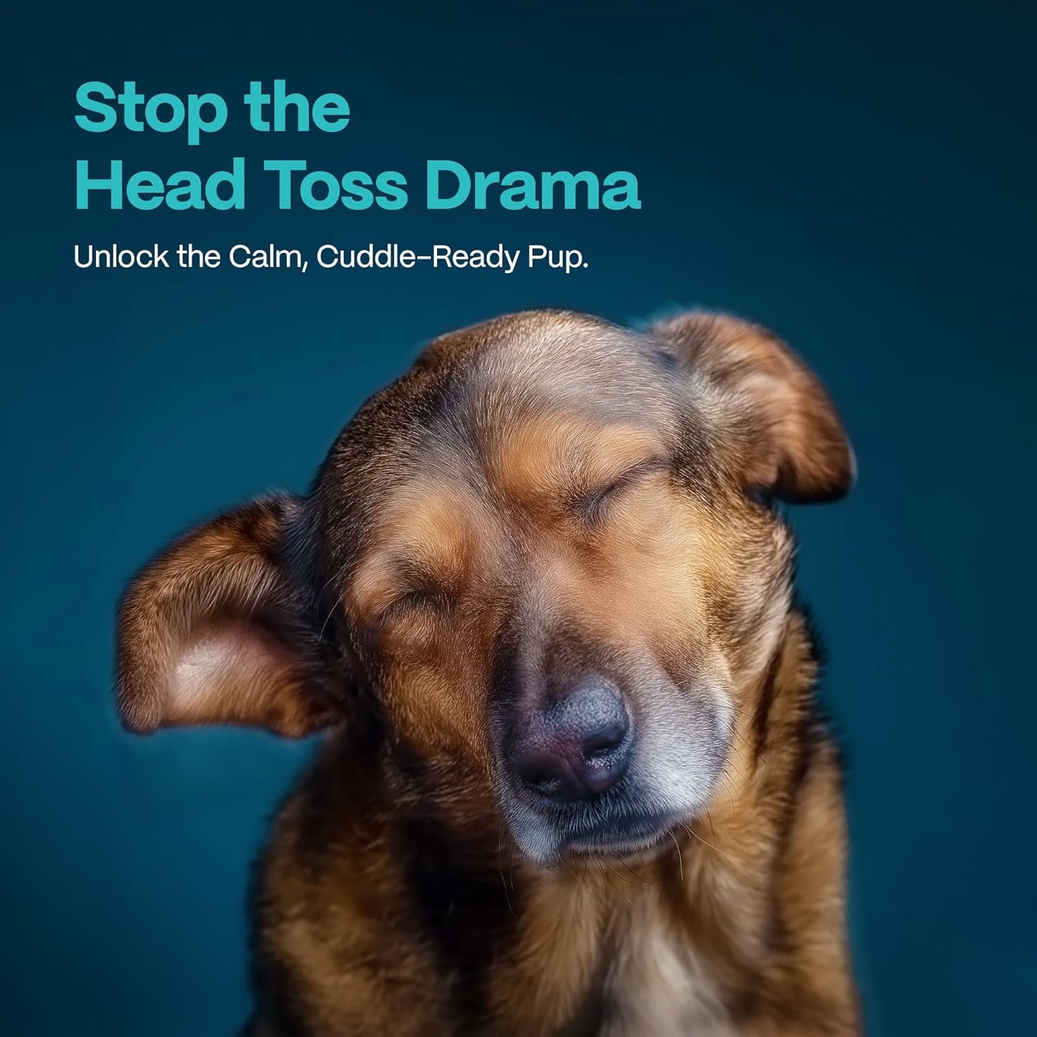 DOCO ear-wipes multi-pet-use suitable for dogs and cats in one kit.