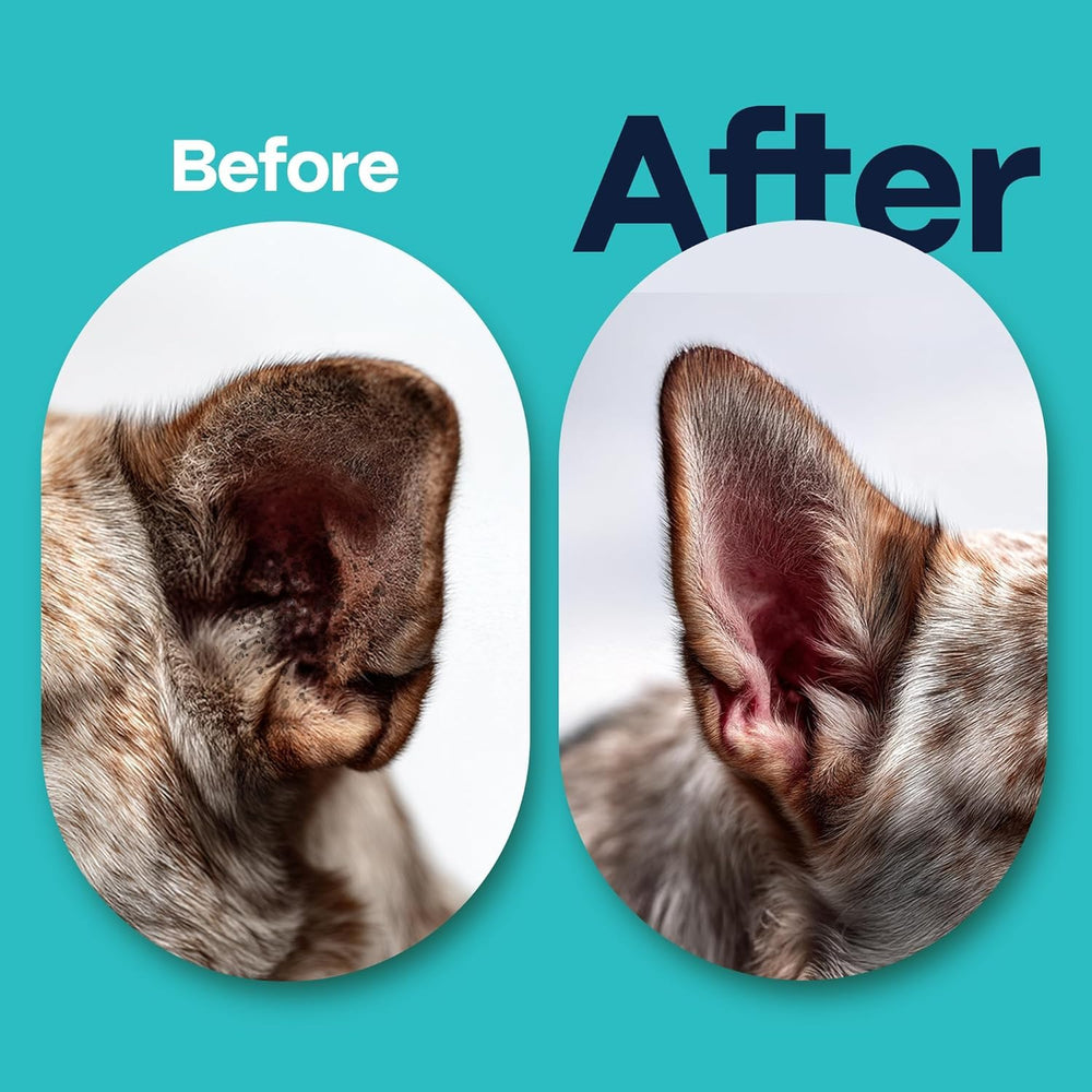 DOCO ear wipes travel-pack ready for on-the-go cleanups.