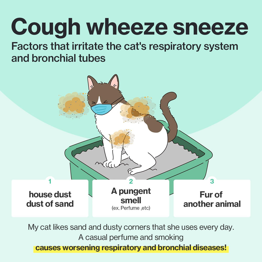 Doctor By Cat Breath immune-support concept image suggests overall health resilience.
