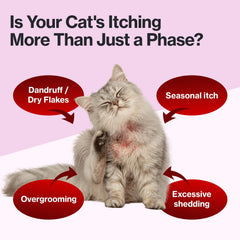 Doctor By Cat Silk Derma Lickable treat closeup chicken flavor looks appealing.