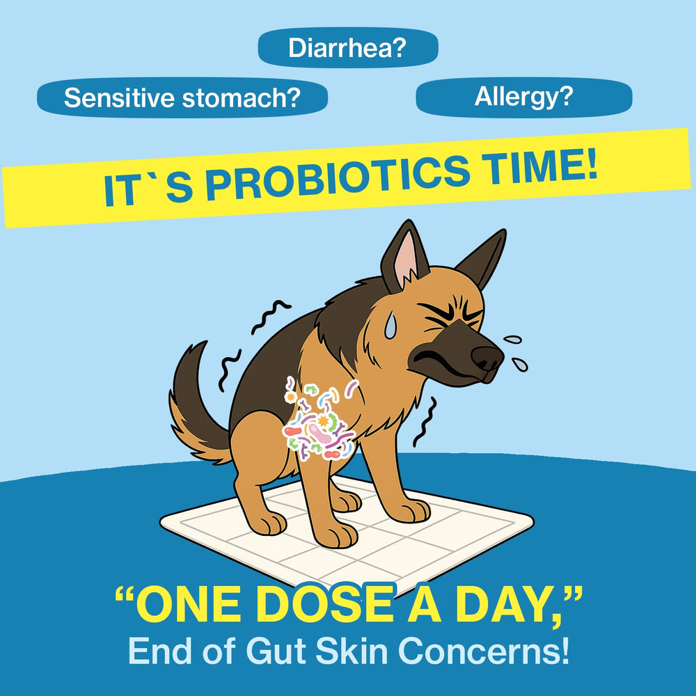 Doctor By Squeeze Probiotics being squeezed onto a treat for easy administration.