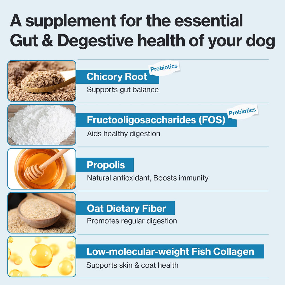 Doctor By Squeeze Probiotics make daily bonding easy for dog owners.