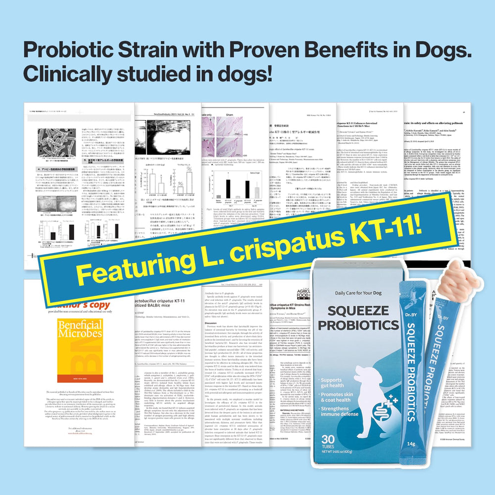 Doctor By Squeeze Probiotics paste supports digestion and skin comfort in dogs.