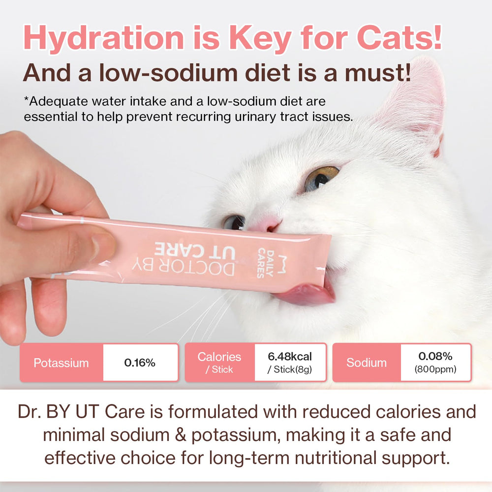 Doctor By UT Care daily-cat-wellness promotes a calm, hydrated routine.