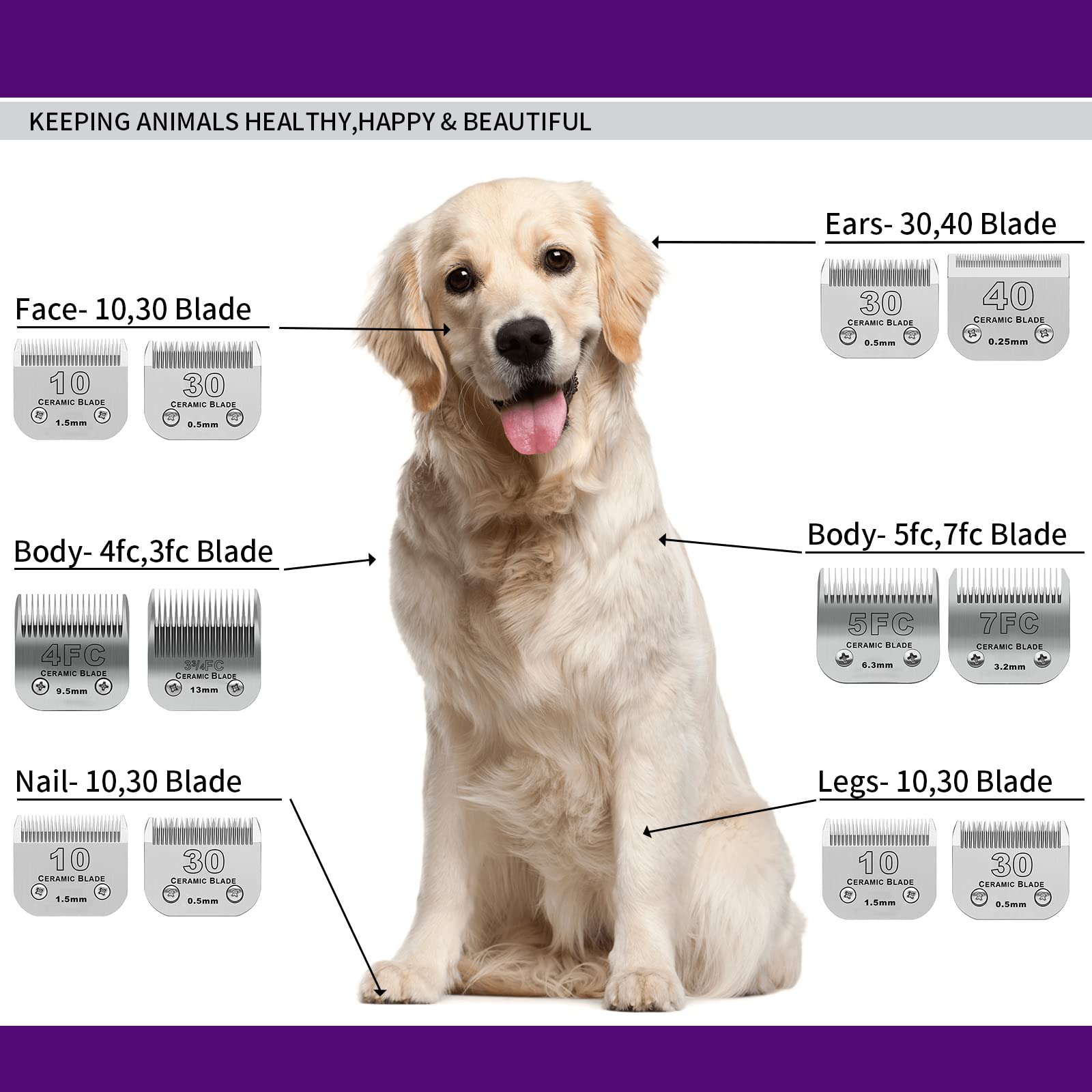 DODAER grooming demo showing quieter operation on a small dog